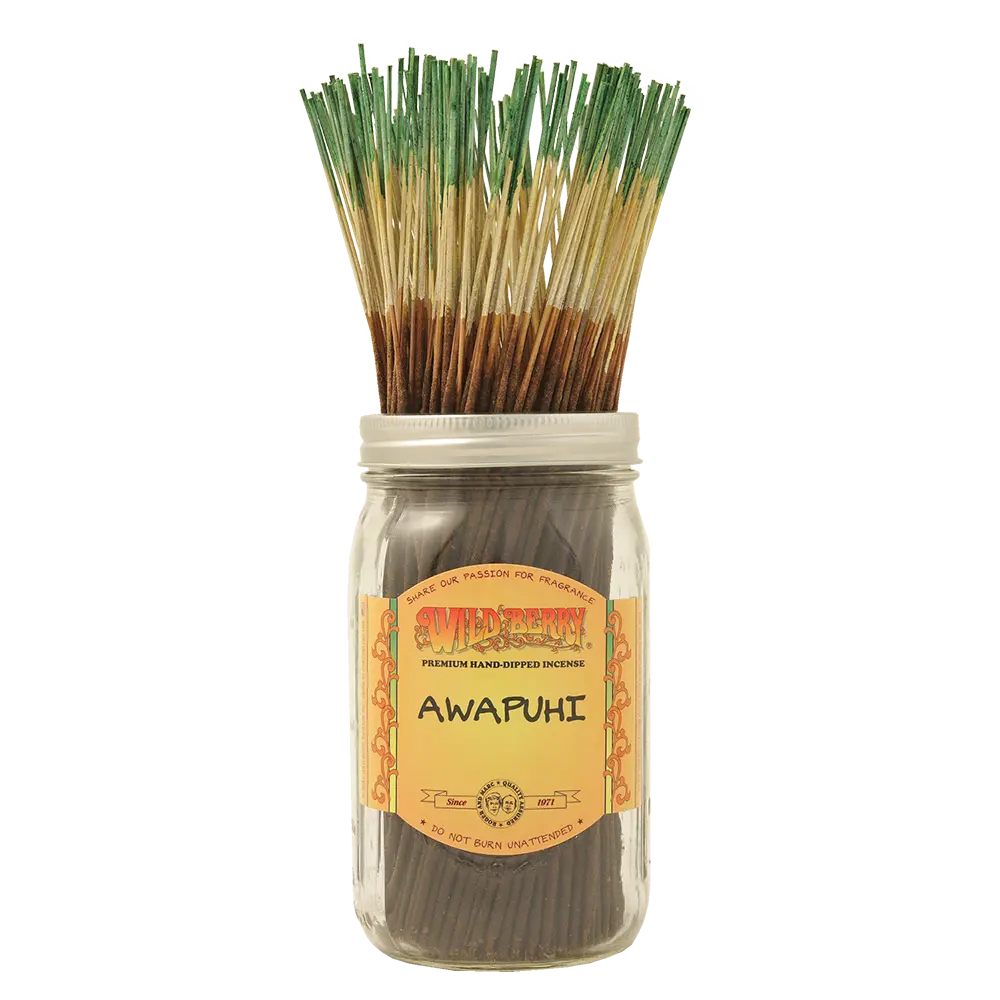 [Q-4056-23] WILD BERRY 100 INCENSE STICKS (Awapuhi)