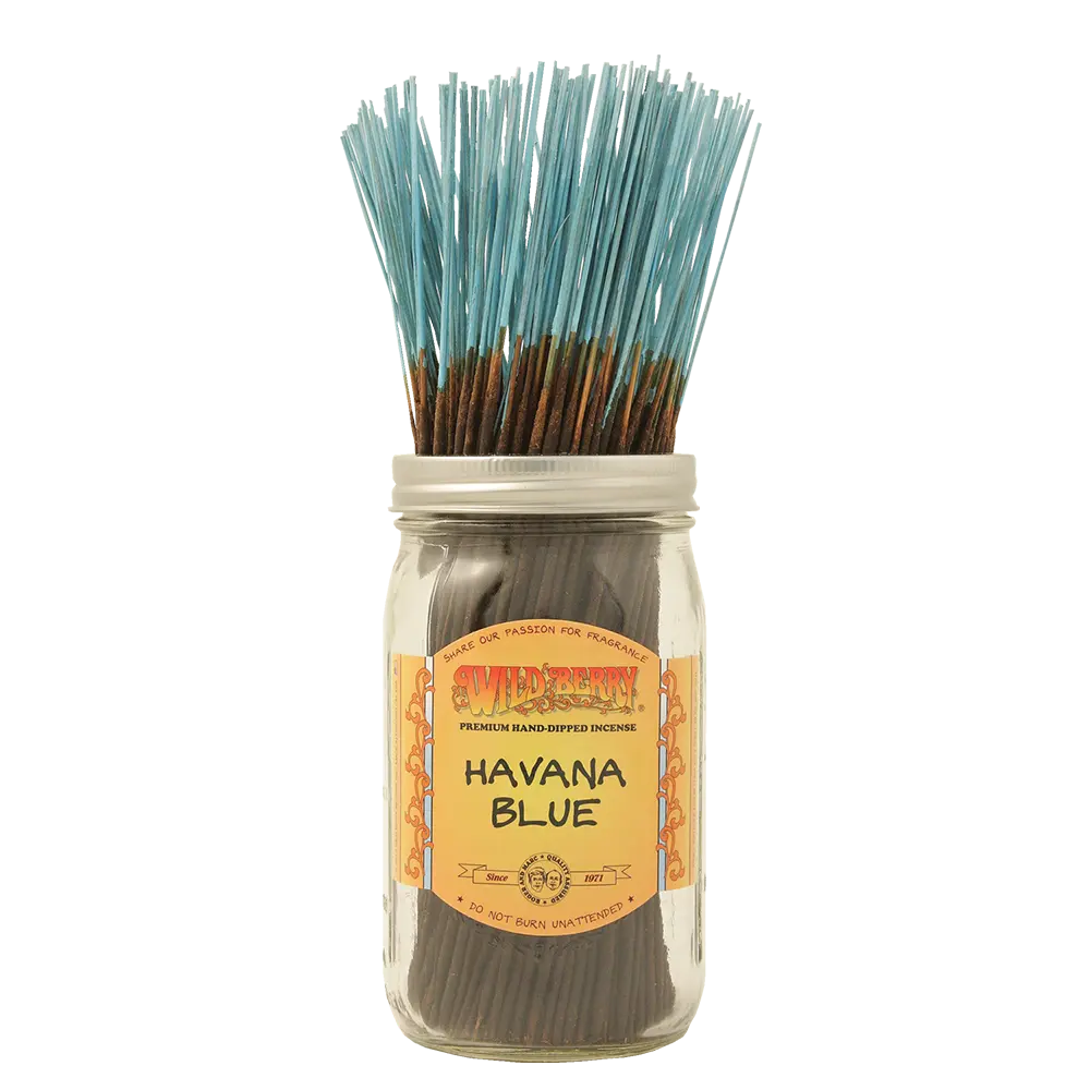 [Q-4056-46] WILD BERRY 100 INCENSE STICKS (Havana Blue)