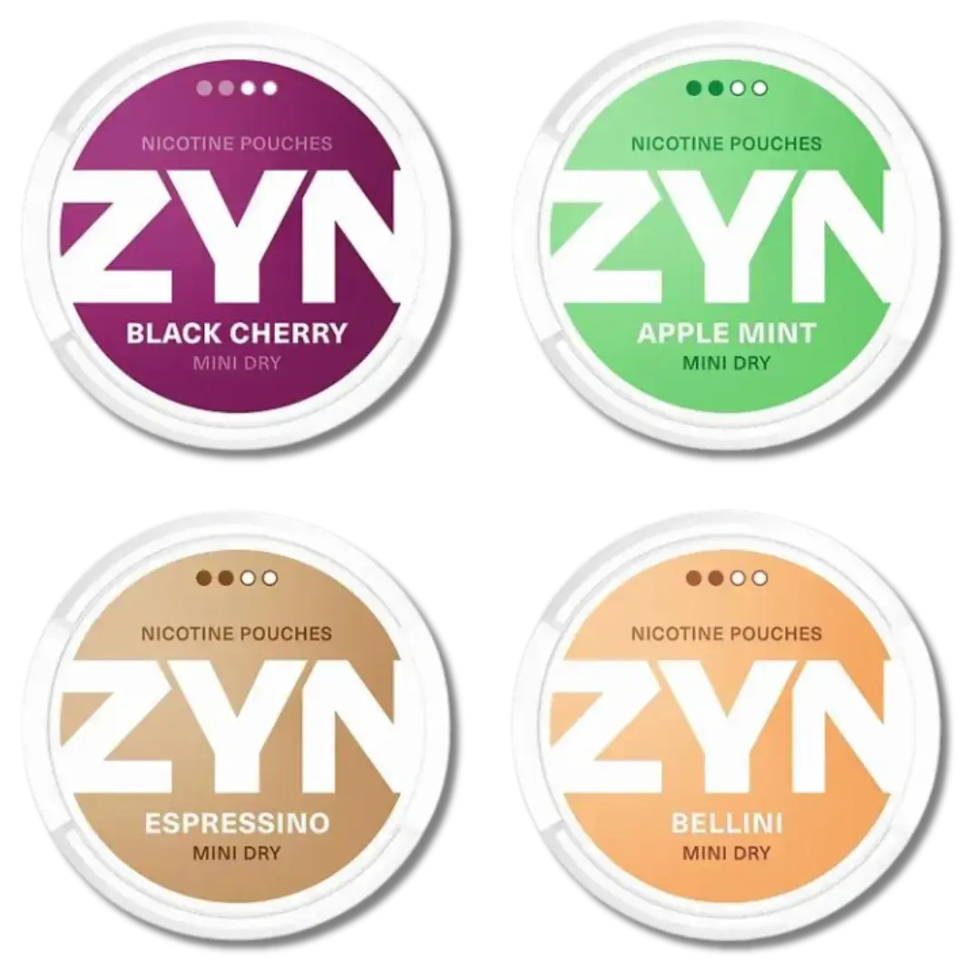 [Q-4848-03] ZYN POUCHES Europe 5CT (Cool Mint 9MG)