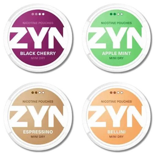 ZYN POUCHES 5CT